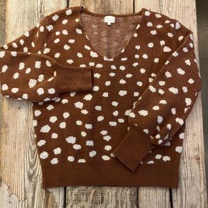 Dee Elly Animal Print V-Neck Sweater